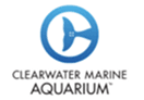 Clearwater Marine Aquarium